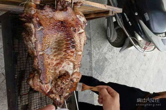 龍岩（yán）肉兔養殖場