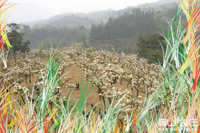 河南生態土雞養（yǎng）殖基地