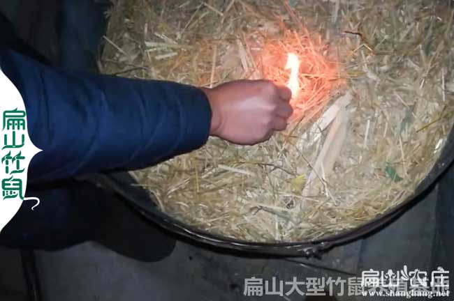 竹鼠保暖方法