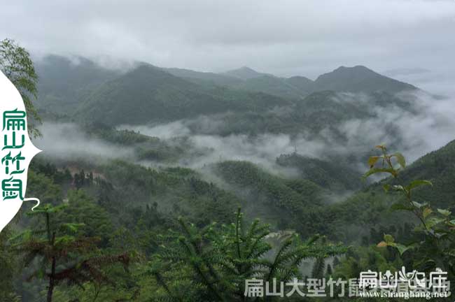 雲南大中（zhōng）土雞養殖基地