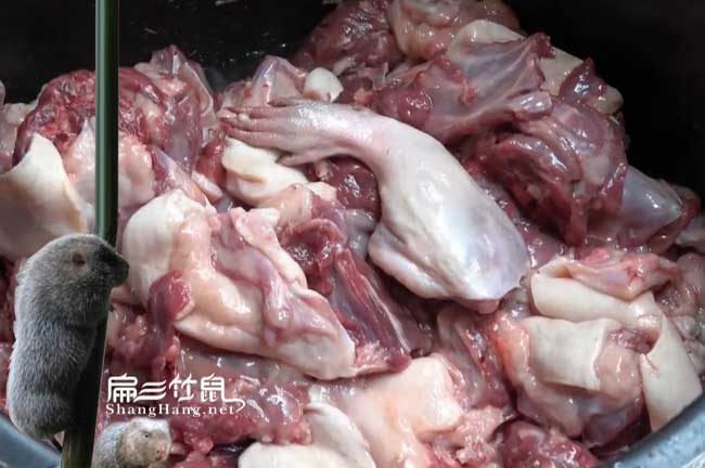 寧蒗竹鼠肉批發（fā）