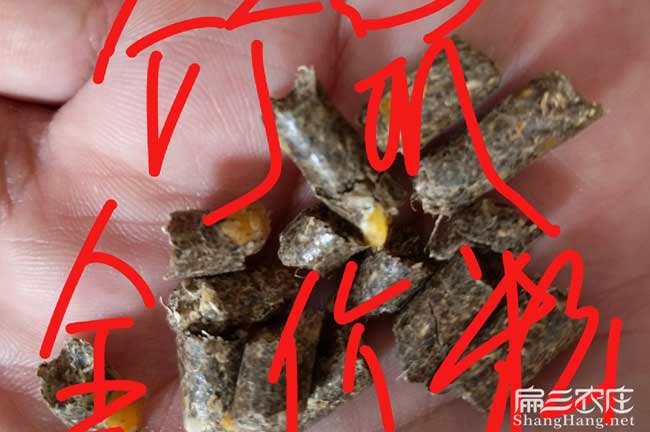 竹（zhú）鼠全價粉