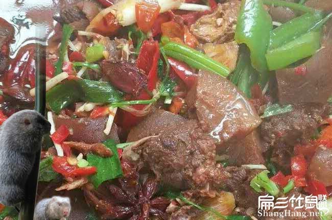 竹（zhú）鼠肉做法