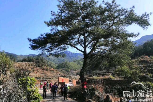 扁（biǎn）山迎客鬆風（fēng）景