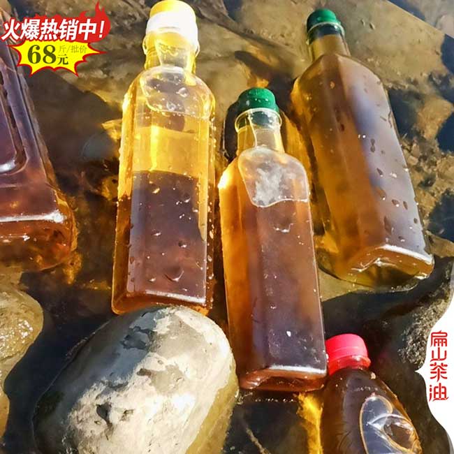 湛江野生茶油批發