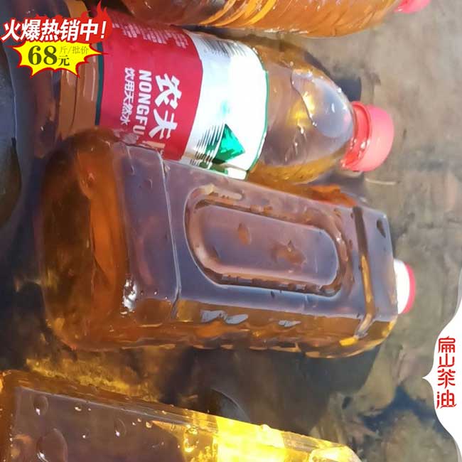 廣西山茶油批發