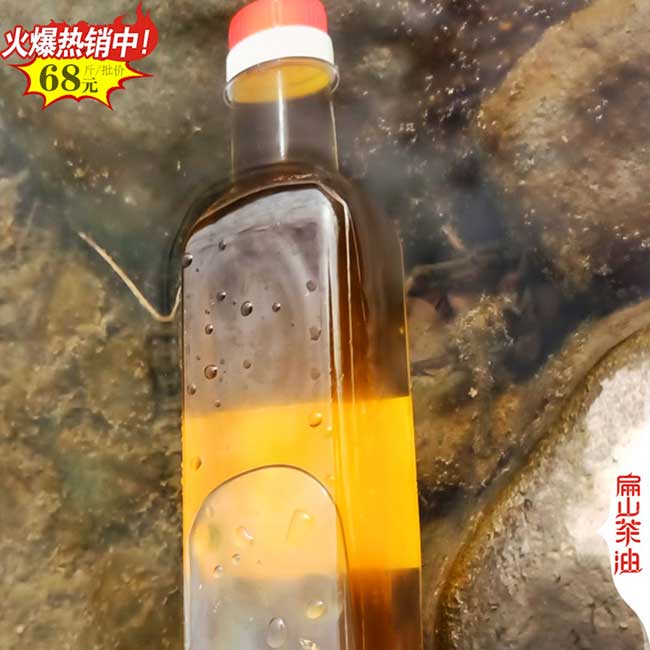 中山茶（chá）油價格