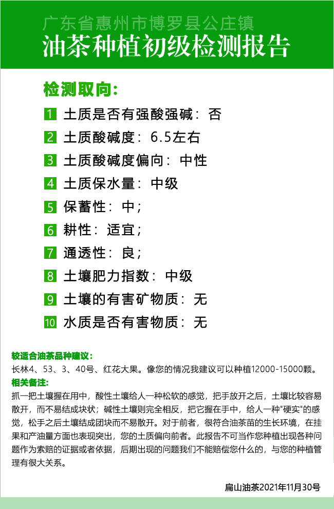 中國油茶種植技術培訓基地(育苗整地品種選擇修剪除蟲日常管理)-扁山油茶