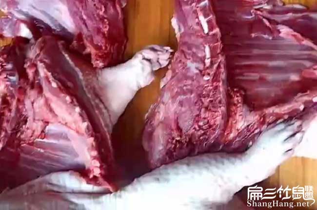 福建肉兔肉批發