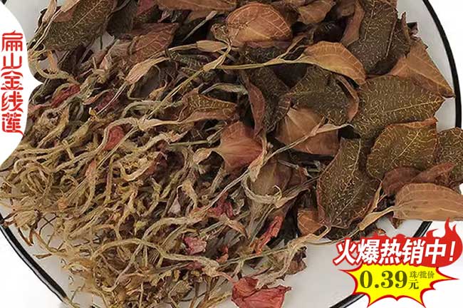 泉州金線蓮袋（dài）裝苗