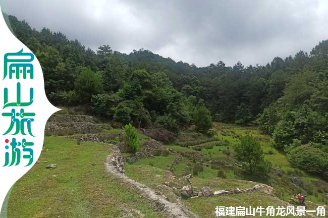 龍岩荒廢的農田風景（jǐng）