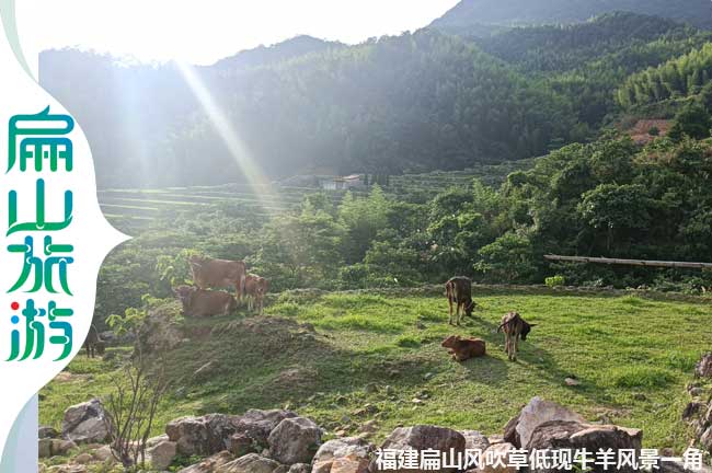 扁山風吹草低現牛羊