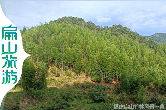 閩西竹林風（fēng）景區