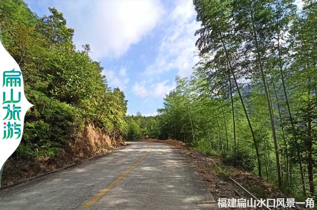 扁山村口竹林風景