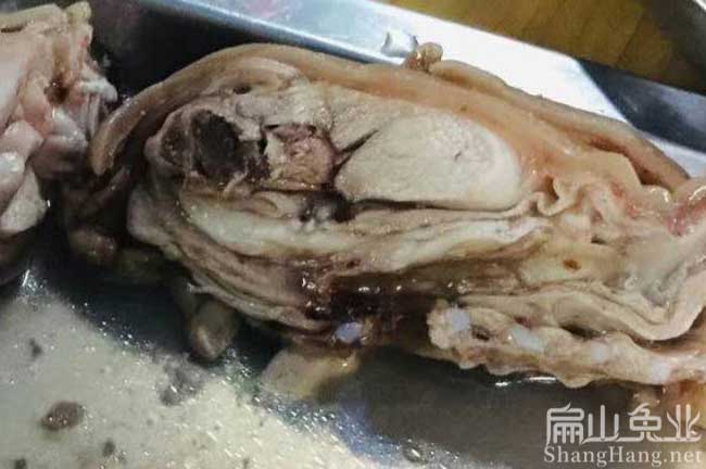 龍岩兔肉批發