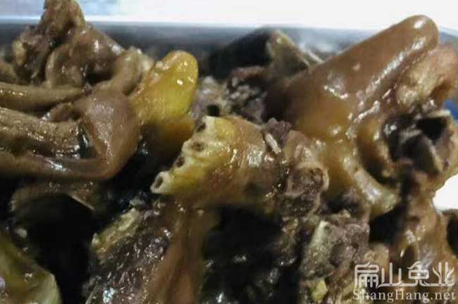 泉州肉兔批發