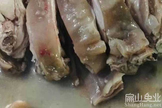 廣州肉兔批（pī）發