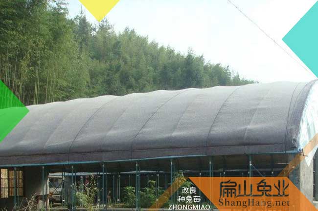 福（fú）建大竹鼠養（yǎng）殖基地