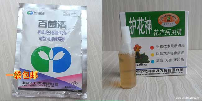 荷塘油茶生根粉