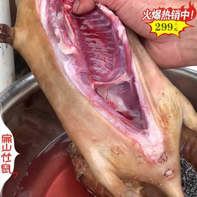 仙桃竹鼠肉批（pī）發