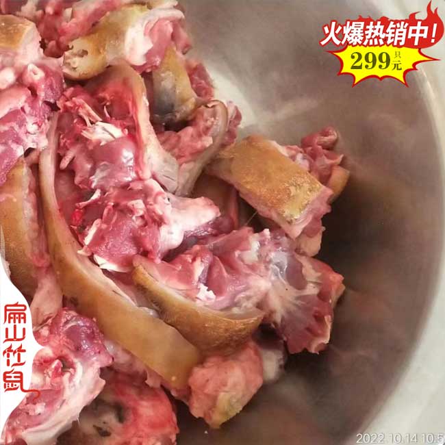 陝西竹鼠（shǔ）養殖