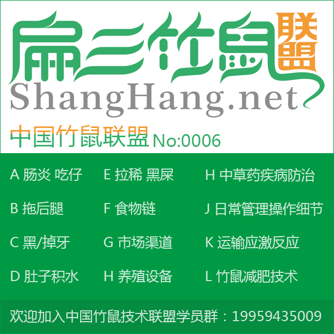 2024福建規模竹鼠養殖基（jī）地 龍岩種苗（miáo）多少錢（qián）一對竹鼠種苗？