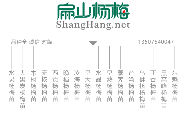 榆林楊梅苗（miáo）品種