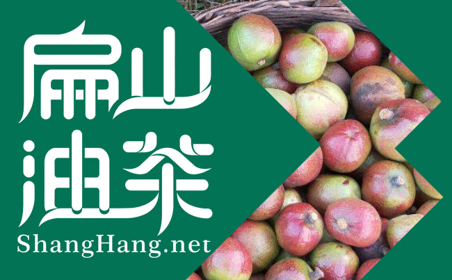 廣（guǎng）西油茶網